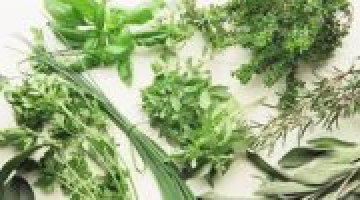 Ervas dos Orix�s e Suas Aplica��es