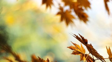 Pensamentos Positivos Primeiro Passo