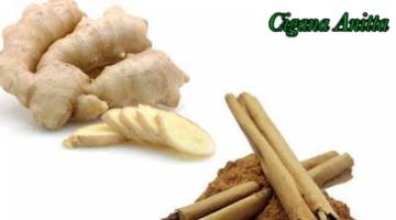 Banho Cigano para ter mais Energia