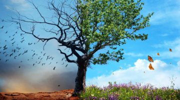 O C�U E O INFERNO!!!!