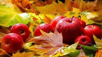 SIGNIFICADO DAS FRUTAS PARA OS CIGANOS!!!