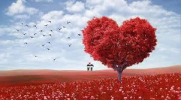 Orao de merecimento para atrair amor