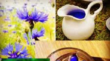 Limpeza Espiritual com Anil