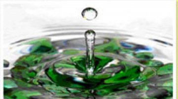 BANHOS  DE  DESCARREGO  NA  LUA  MINGUANTE