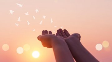 Procure pelo que mais precisa