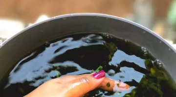 Banho para a autoestima